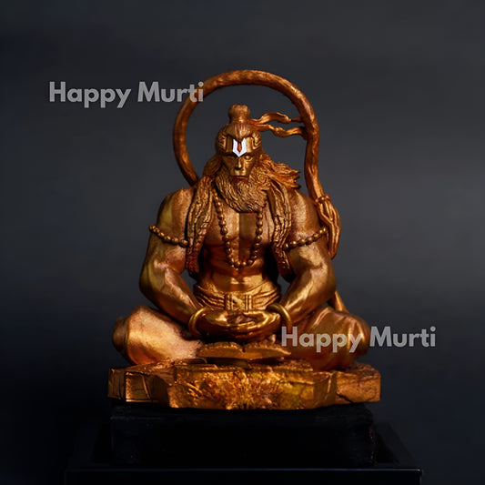 Pavan Sut Idol Hanuman ji 🙏🏻